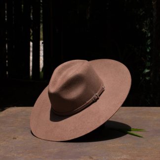 Articulo 01